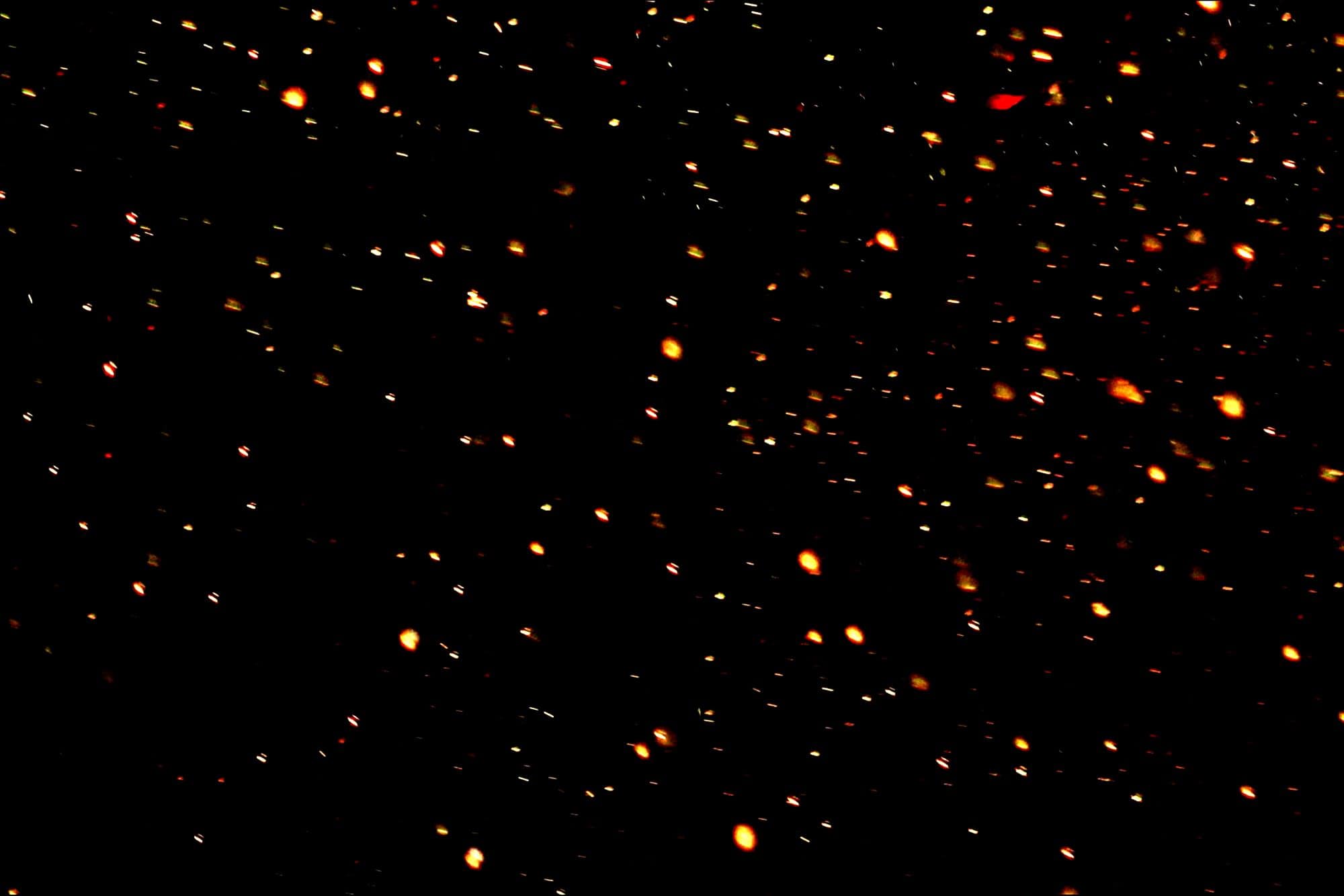 Cientistas propõem nova teoria: alienígenas poderiam se comunicar como vaga-lumes