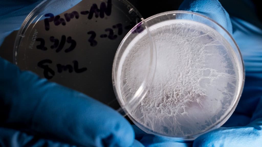 Cientistas de Stanford criaram um gel movido a sol que gera até 2 litros de água limpa por dia e aguenta passar dos 190 ciclos de reuso