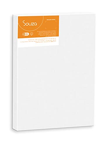 Souza & Cia, Tela De Pintura, 60cm X 80cm (Ref: 8119), Branco
